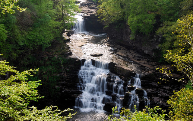 Waterfall forest trees bench nature #8 free wallpaper - medium preview image