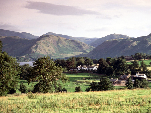 Horse grazing field mountains lake free wallpaper - medium preview image