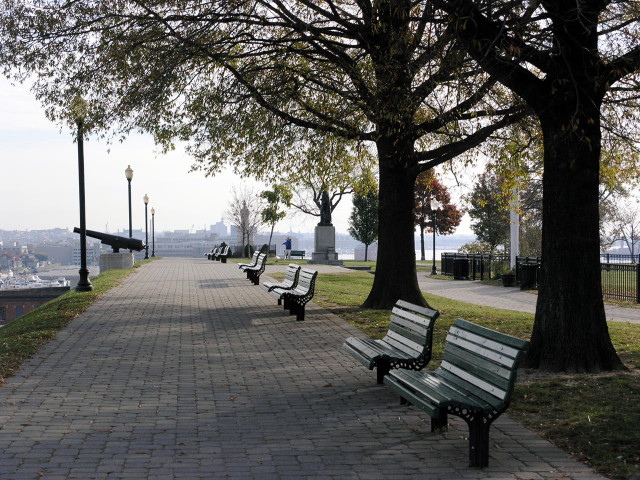 Benches park tree river city free wallpaper - medium preview image
