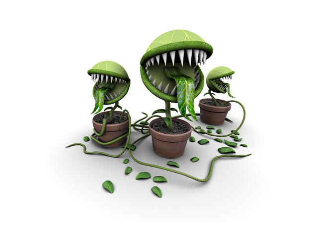 Plants with mouths potted vines free wallpaper - medium preview image