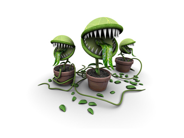 Plants with mouths and teeth free wallpaper - medium preview image