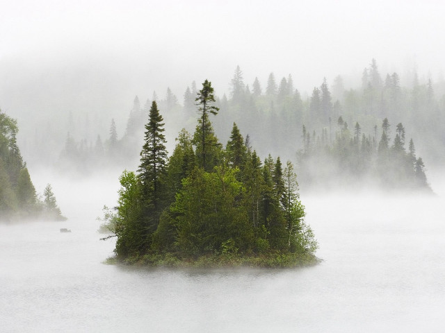 Small island lake trees foggy #2 free wallpaper - medium preview image