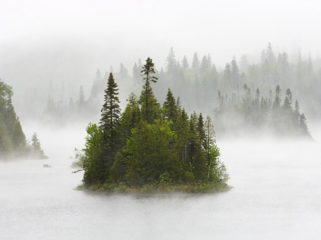 Small island lake trees foggy #4 free wallpaper - medium preview image