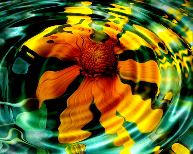 Flower floating water green yellow free wallpaper - medium preview image