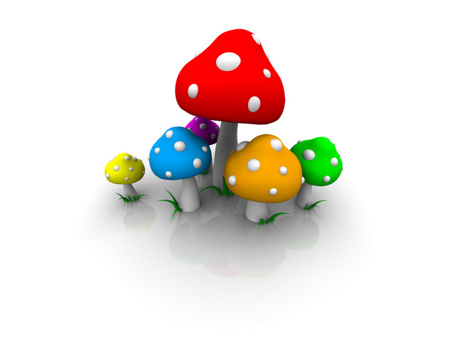 Mushrooms group reflection white surface #5 free wallpaper - medium preview image