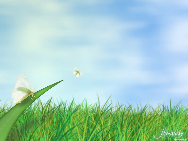 Butterfly flying green grass field free wallpaper - medium preview image