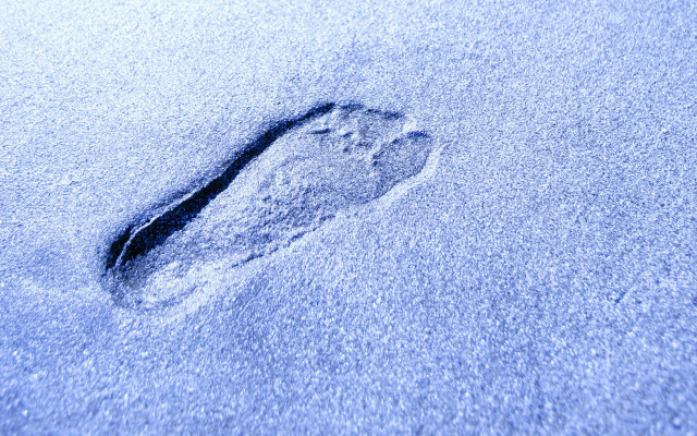 Footprint snow sunny day blue #3 free wallpaper - medium preview image