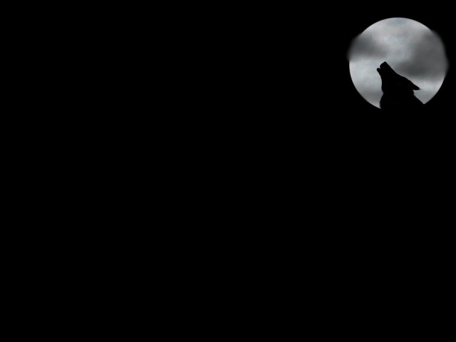 Wolf fullmoon gothic matte grey free wallpaper - medium preview image