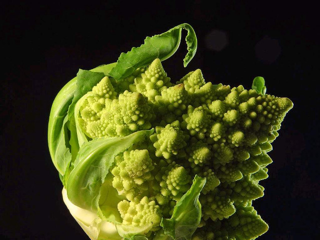 Broccoli fractals macro black background free wallpaper - medium preview image