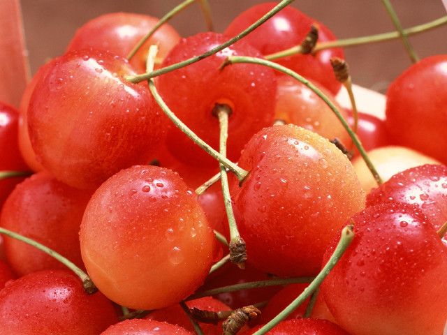 Cherries water droplets table stems free wallpaper - medium preview image
