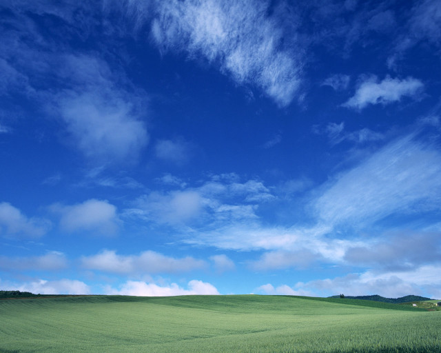 Green field blue sky clouds #48 free wallpaper - medium preview image