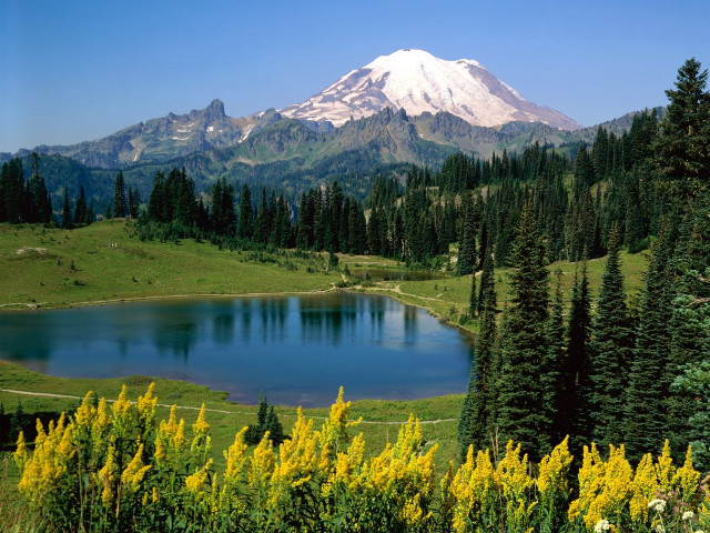 Mountain lake forest yellow flowers #3 free wallpaper - medium preview image