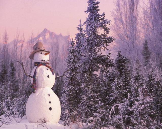 Snowman hat scarf snow forest #3 free wallpaper - medium preview image