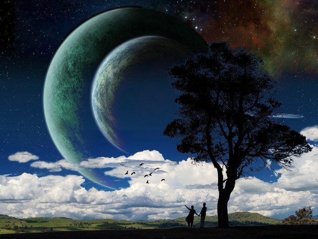 Couple tree moon sky birds free wallpaper - medium preview image