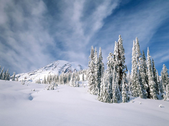 Snow covered mountain trees sky #3 free wallpaper - medium preview image