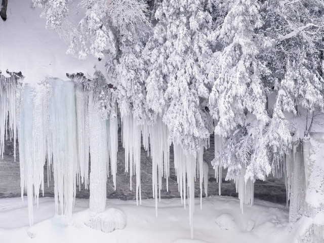 Icy trees snow river winter free wallpaper - medium preview image