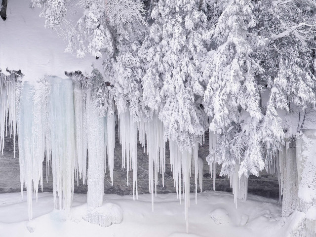 Icy trees snow river winter #2 free wallpaper - medium preview image