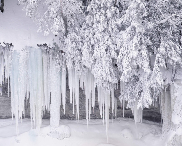 Icy trees snow river forest #2 free wallpaper - medium preview image