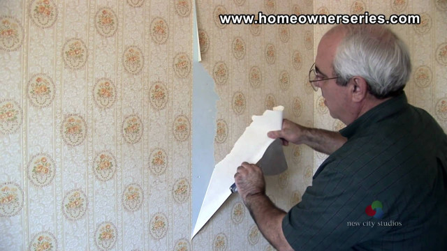 Man putting paper wallpapered wall free wallpaper - medium preview image