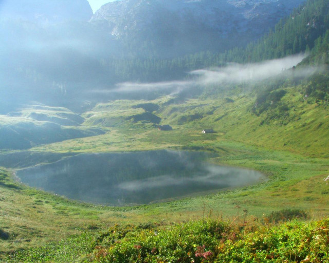 Mountain lake fog grass foreground free wallpaper - medium preview image