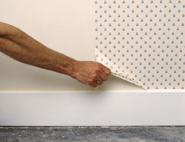 Man holding wallpaper installation process free wallpaper - medium preview image