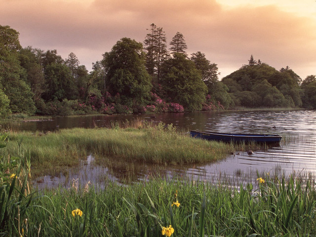 Boat shore lake grass flowers #4 free wallpaper - medium preview image