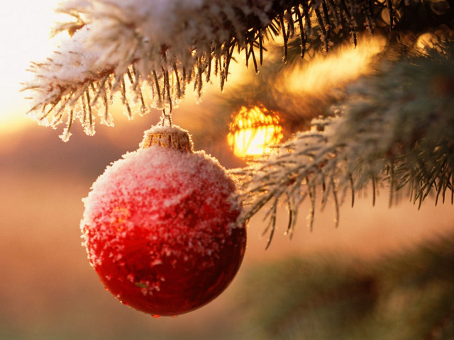 Red ornament pine tree snow #6 free wallpaper - medium preview image