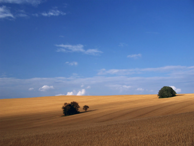 Field trees sky clouds mountains free wallpaper - medium preview image