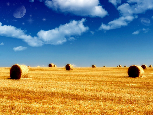 Hay field bales full moon free wallpaper - medium preview image