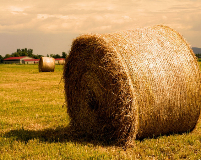 Hay bale field barn cloudy #3 free wallpaper - medium preview image