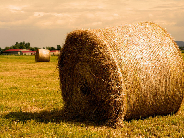 Hay bale field barn cloudy #4 free wallpaper - medium preview image