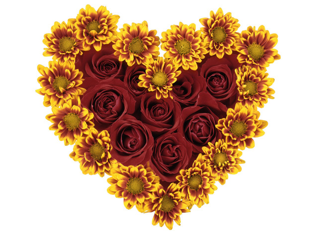 Heart sunflowers roses red yellow #4 free wallpaper for desktop - medium preview image