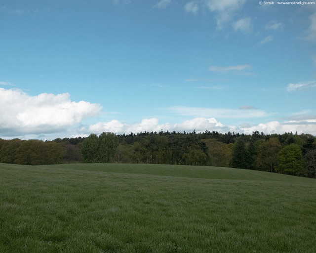 Field trees blue sky clouds #2 free wallpaper - medium preview image