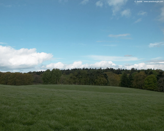 Field trees blue sky clouds #3 free wallpaper - medium preview image
