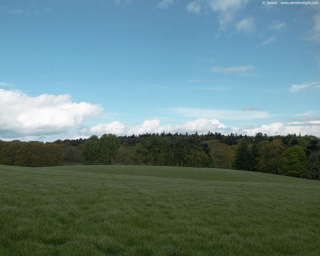 Field trees blue sky clouds #4 free wallpaper - medium preview image