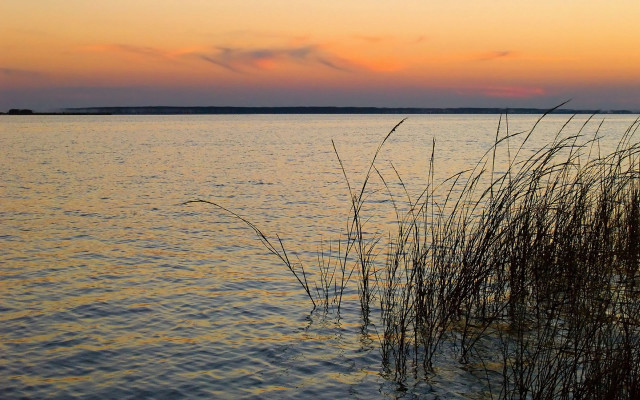 Water plants sunset clouds sky free wallpaper - medium preview image