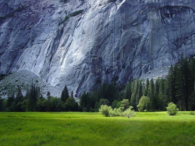 Mountain green field trees forest #4 free wallpaper - medium preview image