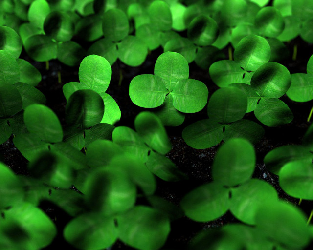 Green leaves black background green #4 free wallpaper - medium preview image