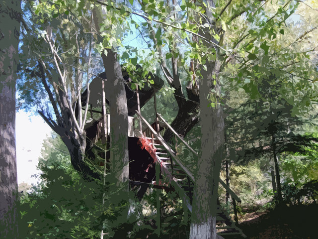 Tree house forest ladder upside #2 free wallpaper - medium preview image