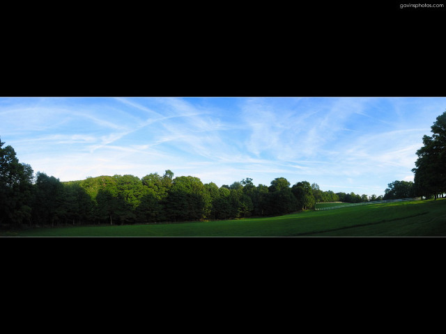 Field trees blue sky clouds free wallpaper - medium preview image