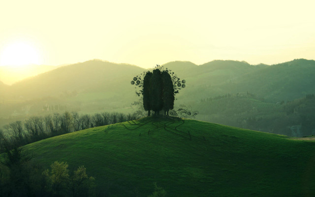 Lone tree sunset hills matte #2 free wallpaper - medium preview image