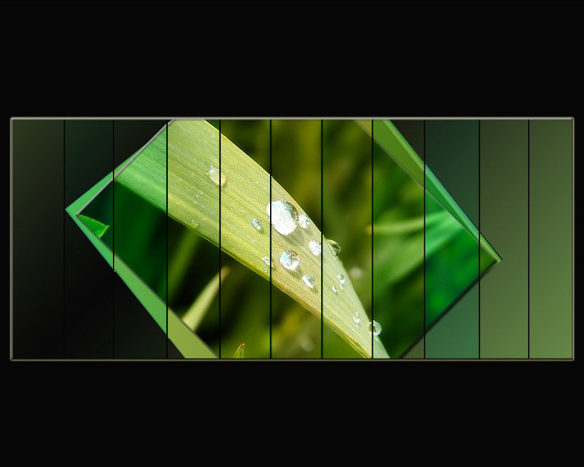 Green leaf water drops black free wallpaper - medium preview image