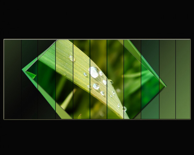 Green leaf water drops black #2 free wallpaper - medium preview image