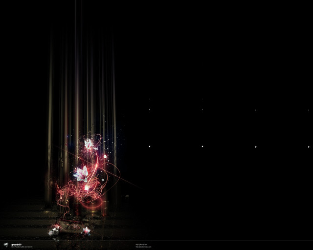 Dark room flower black background free wallpaper - medium preview image