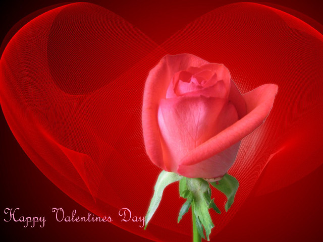 Red rose heart valentines romantic free wallpaper - medium preview image
