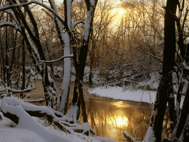 River snow trees forest sunset #4 free wallpaper - medium preview image