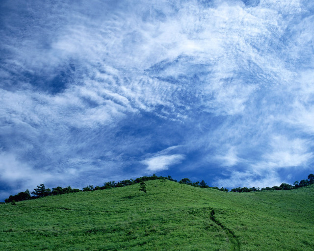 Green hill tree cloudy sky free wallpaper - medium preview image