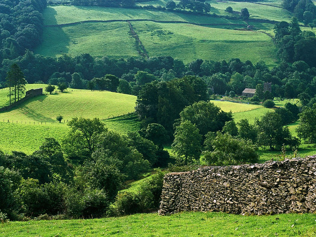 Green field stone wall trees #4 free wallpaper - medium preview image