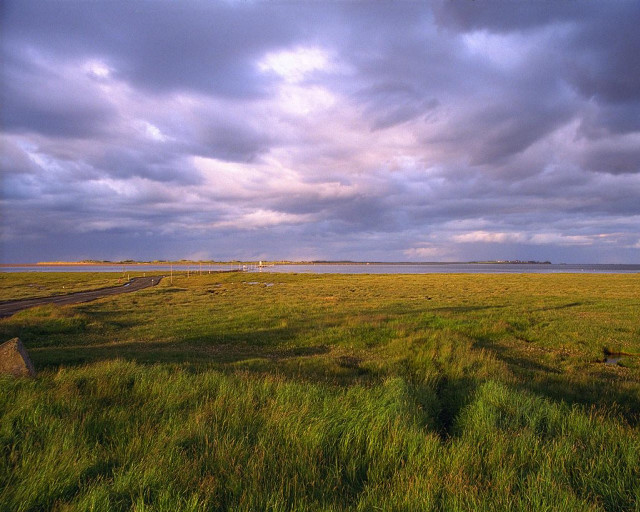 Field road cloudy sky background free wallpaper - medium preview image