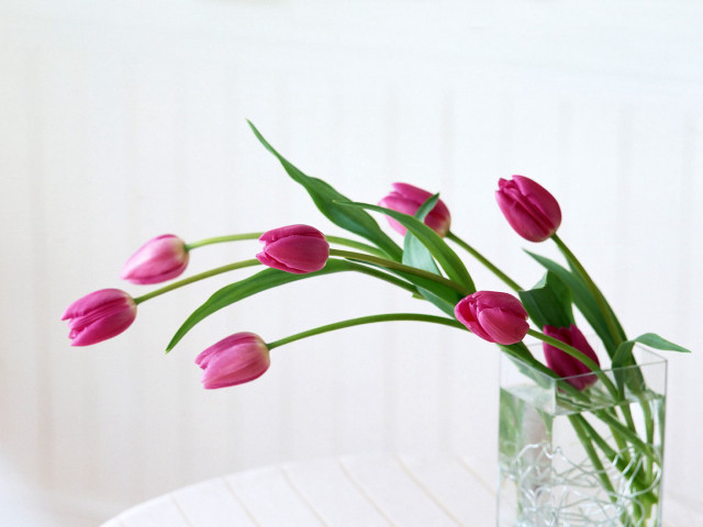 Vase pink flowers table white #6 free wallpaper - medium preview image